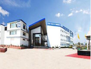 Singh Bhadauria Institute of Technology 2